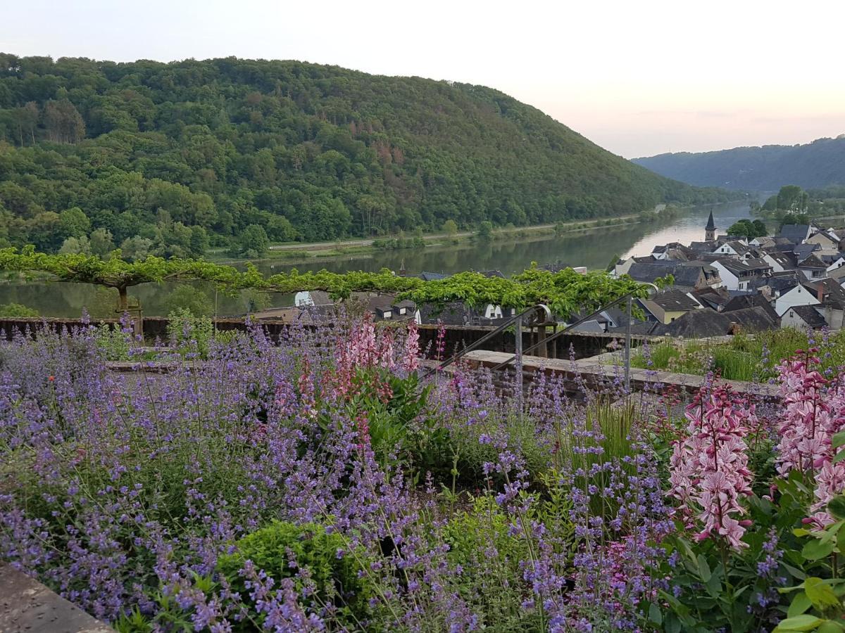 Winzerhof Gietzen Hotel Hatzenport Екстериор снимка